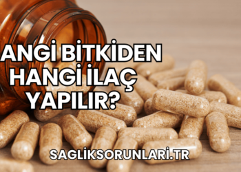 Hangi Bitkiden Hangi İlaç Yapılır?