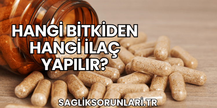 Hangi Bitkiden Hangi İlaç Yapılır?