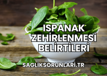 Ispanak Zehirlenmesi Belirtileri