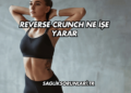 Reverse Crunch Ne İşe Yarar?