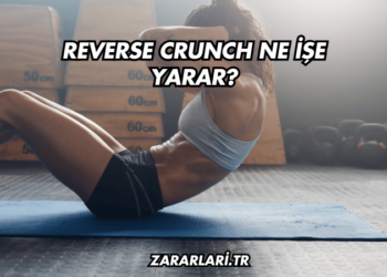 Reverse Crunch Ne İşe Yarar?