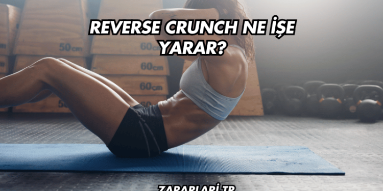 Reverse Crunch Ne İşe Yarar?