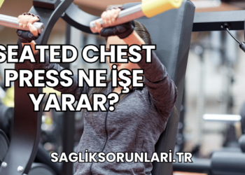 Seated Chest Press Ne İşe Yarar?