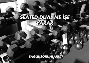 Seated Dual Ne İşe Yarar?
