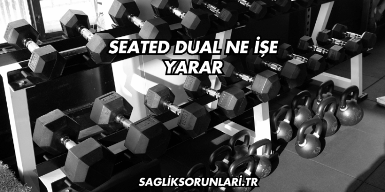Seated Dual Ne İşe Yarar?