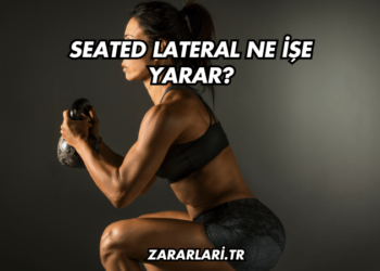 Seated Lateral Ne İşe Yarar?