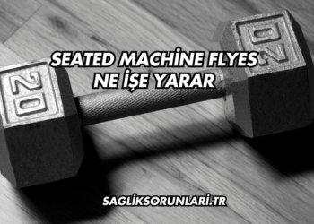 Seated Machine Flyes Ne İşe Yarar?