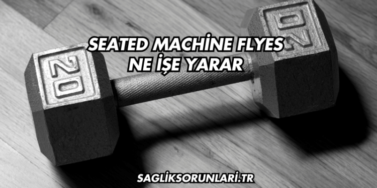 Seated Machine Flyes Ne İşe Yarar?