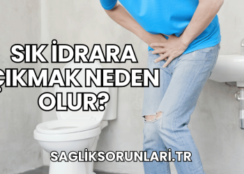 Sık İdrara Çıkmak Neden Olur?