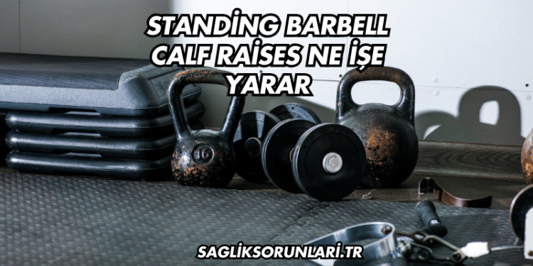 Standing Barbell Calf Raises Ne İşe Yarar?