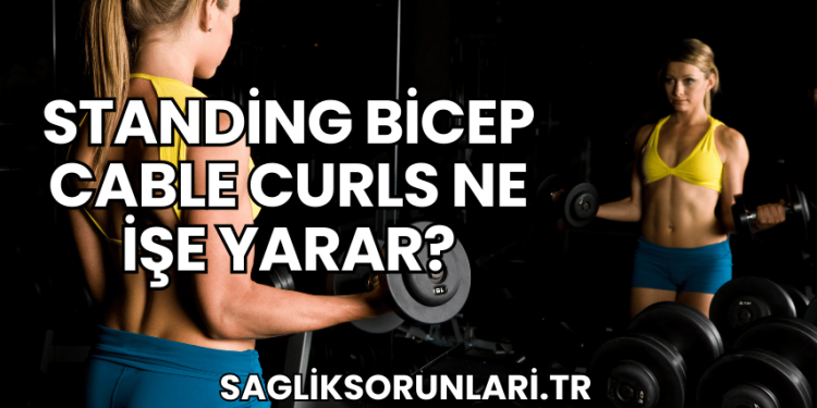 Standing Bicep Cable Curls Ne İşe Yarar?