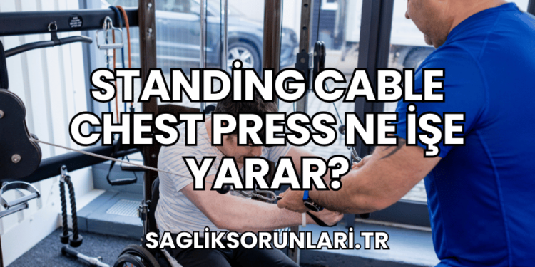 Standing Cable Chest Press Ne İşe Yarar?