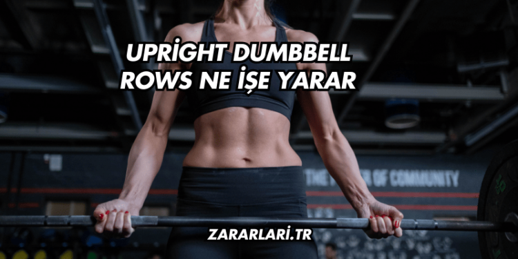 Upright Dumbbell Rows Ne İşe Yarar