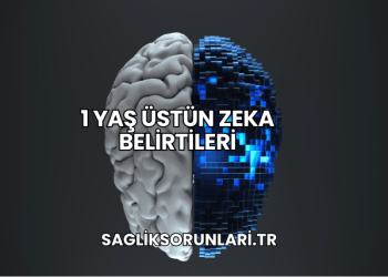 1 Yaş Üstün Zeka Belirtileri