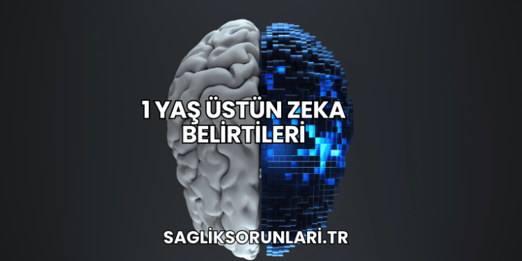1 Yaş Üstün Zeka Belirtileri