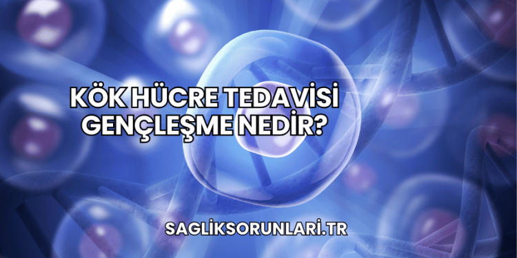 Kök Hücre Tedavisi Gençleşme Nedir?
