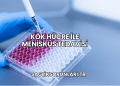 Kök Hücre ile Menisküs Tedavisi