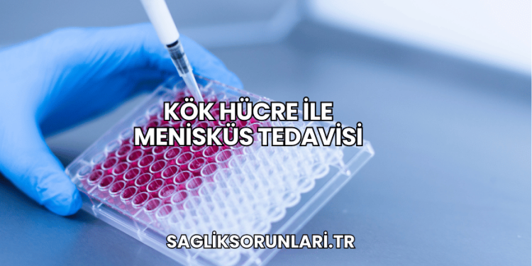 Kök Hücre ile Menisküs Tedavisi
