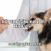 Köpek Dişine Kanal Tedavisi