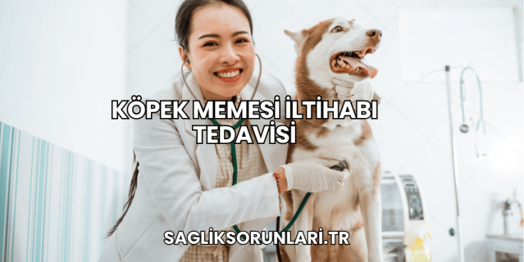 Köpek Memesi İltihabı Tedavisi