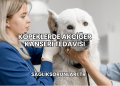 Köpeklerde Akciğer Kanseri Tedavisi