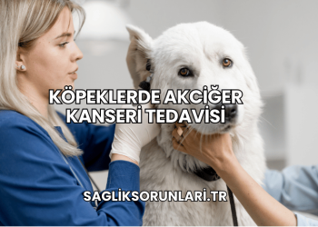 Köpeklerde Akciğer Kanseri Tedavisi