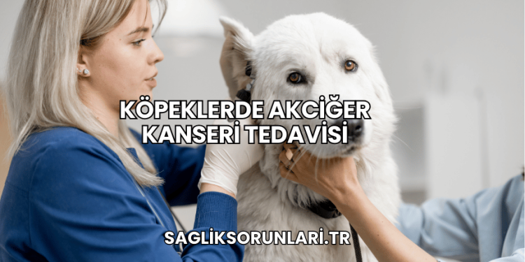 Köpeklerde Akciğer Kanseri Tedavisi