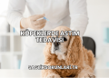 Köpeklerde Astım Tedavisi