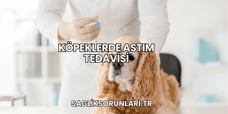 Köpeklerde Astım Tedavisi