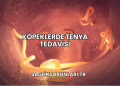 Köpeklerde Tenya Tedavisi