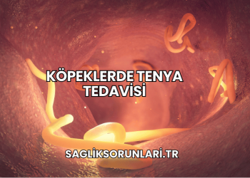 Köpeklerde Tenya Tedavisi