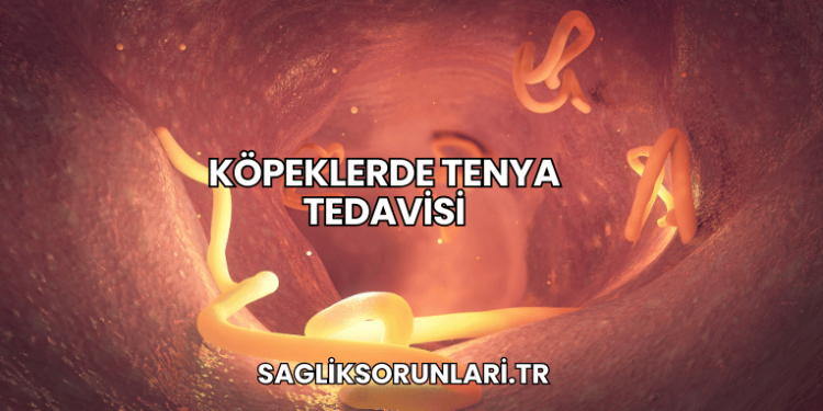 Köpeklerde Tenya Tedavisi