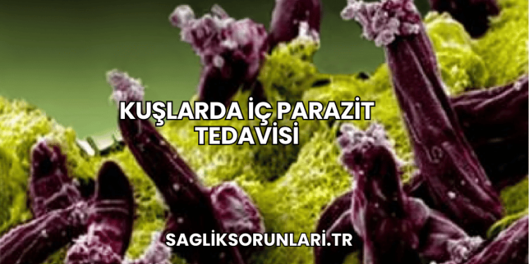 Kuşlarda İç Parazit Tedavisi