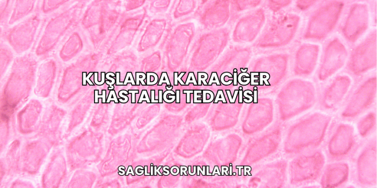 Kuşlarda Karaciğer Hastalığı Tedavisi