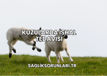 Kuzularda İshal Tedavisi