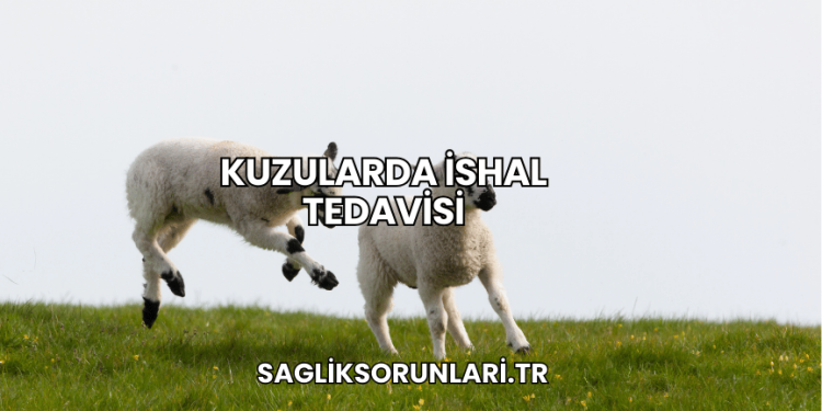 Kuzularda İshal Tedavisi