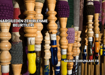 Nargileden Zehirlenme Belirtileri
