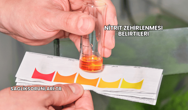 Nitrit Zehirlenmesi Belirtileri