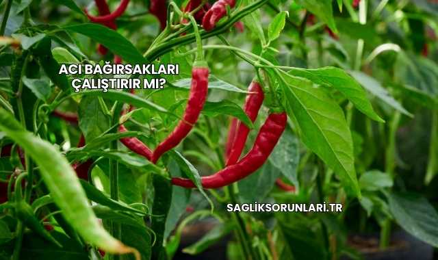 Acı Bağırsakları Çalıştırır mı?
