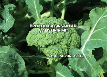 Brokoli Bağırsakları Çalıştırır mı?