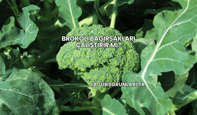 Brokoli Bağırsakları Çalıştırır mı?