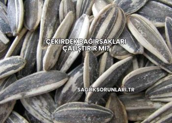 Çekirdek Bağırsakları Çalıştırır mı?