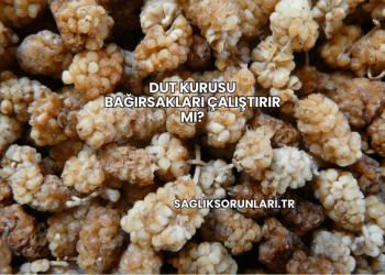 Dut Kurusu Bağırsakları Çalıştırır mı?