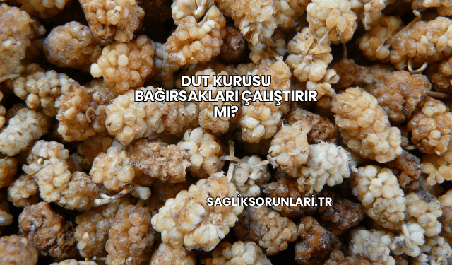Dut Kurusu Bağırsakları Çalıştırır mı?