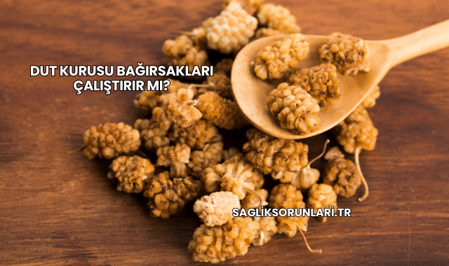 Dut Kurusu Bağırsakları Çalıştırır mı?