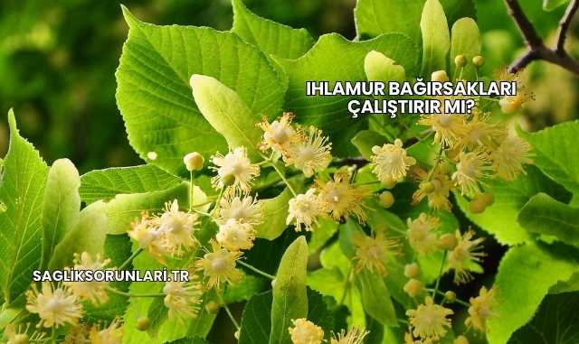 Ihlamur Bağırsakları Çalıştırır mı?