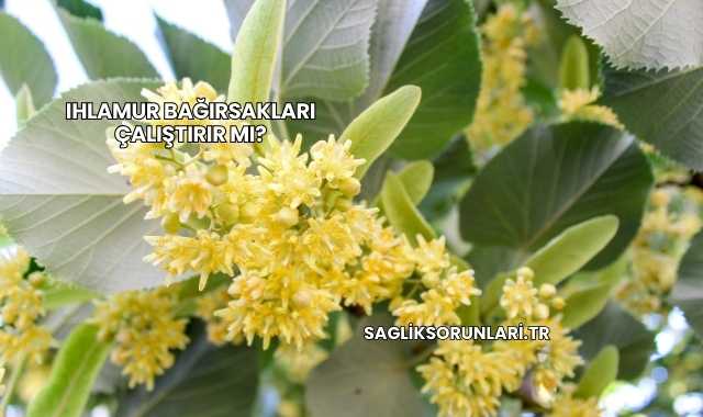 Ihlamur Bağırsakları Çalıştırır mı?