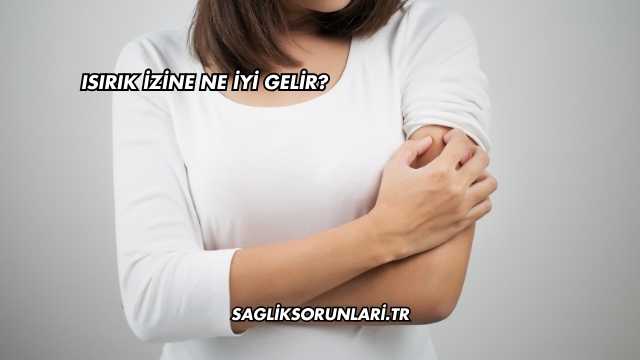 Isırık İzine Ne İyi Gelir?