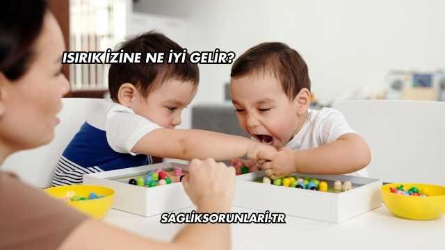 Isırık İzine Ne İyi Gelir?