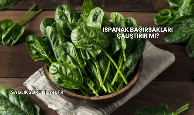 Ispanak Bağırsakları Çalıştırır mı?